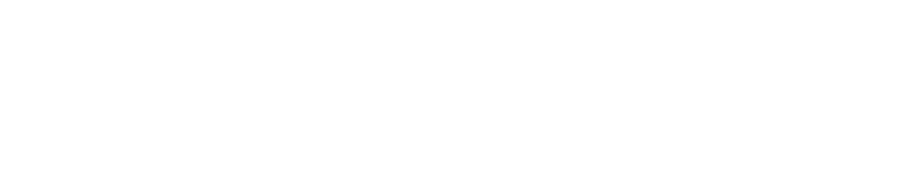 Icon_BSC2