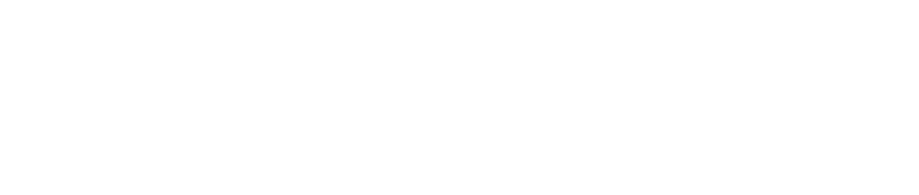 Icon_Webseite